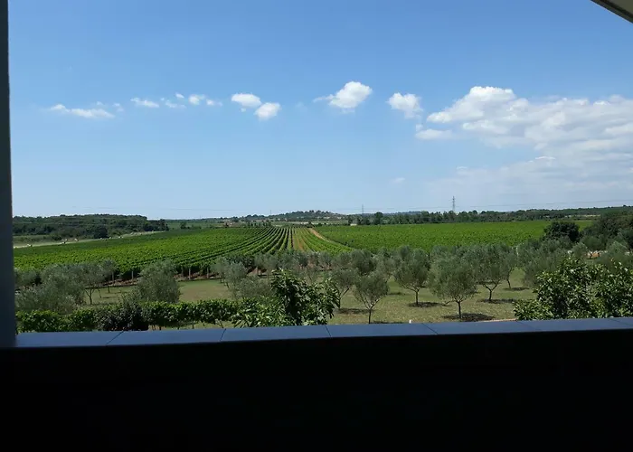 Apartma Solmar
